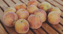 Peach Fruit FAQ: Frequently Asked Questions: Answering common questions about Peaches