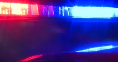 Police in St. Petersburg are investigating the death of a 16-year-old boy found dead at his home on Wednesday.