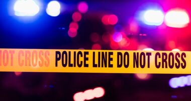 5 killed in 'execution style' mass shooting in Texas, suspect on the run