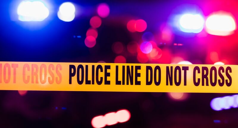5 killed in 'execution style' mass shooting in Texas, suspect on the run