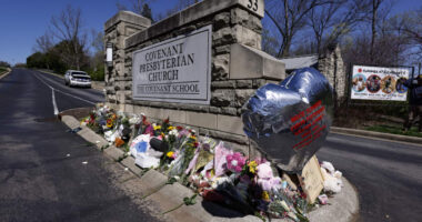 After Nashville, Congress confronts limits of new gun law