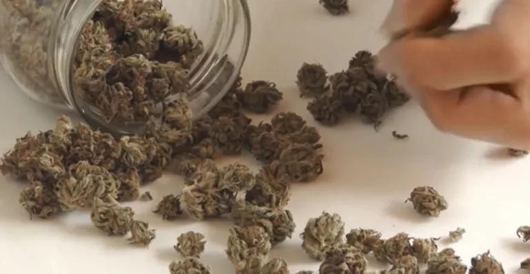 Alabama leaders squash marijuana bills as demonstrators call for decriminalization