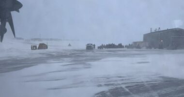 Alaska Native Scouts feted 67 years after rescuing Navy crew