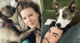 Ariana Madix 'plans on keeping' dog she shared with cheating ex Tom Sandoval
