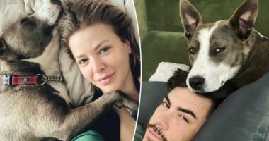 Ariana Madix 'plans on keeping' dog she shared with cheating ex Tom Sandoval