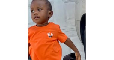 Body of Florida toddler found in alligator jaws after search