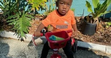 Taylen Mosley, of St. Petersburg, Florida, was reported missing on Thursday after his mother Pashun Jeffery, 20, was found dead in her Lincoln Shores apartment from stab wounds