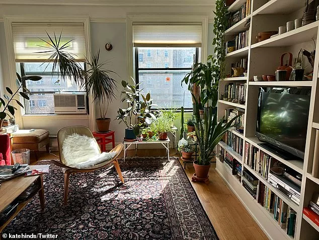 Can you spot the cat? One sneaky feline found the perfect place to hide inside an NYC apartment 