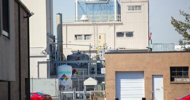 A chemical processing facility in Maywood, New Jersey, has an exclusive federal license to import coca leaves into the US and manufacture cocaine