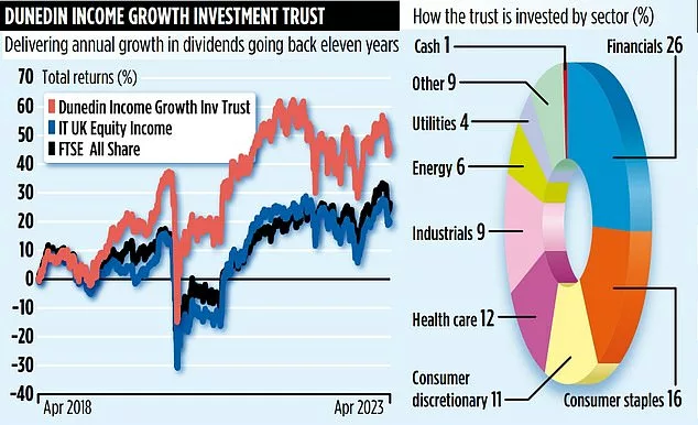 DUNEDIN INCOME GROWTH: After 150 years the fund is still delivering solid income