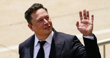 Elon Finally Drops the Hammer on the Legacy Blue Checks, the Liberal Fits Are Hilarious