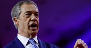 Farage Dunks on Pelosi for Not Understanding American Legal System