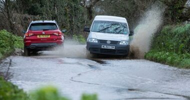 The Met Office has forecasted the next few days to be met with rain, with heavy downpours expected in the southwest and drizzle in the east