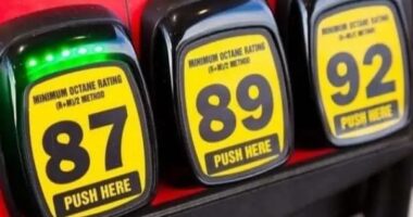 Gas Prices in Florida