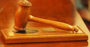 Florida judges overturn laws that mandated gender and racial representation on corporate boards