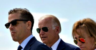 Get Son Hunter or Sister Valerie to Sign ‘on Behalf of the VP’