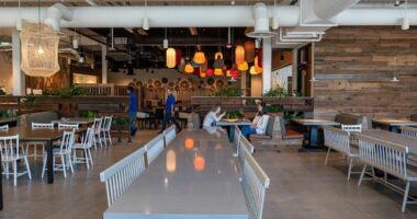 Google CFO Signals More Spending Cuts to Meet Savings Targets