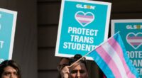 HSS Issues Report on 'Affirming' Trans Youth for 'Trans Visibility Day'