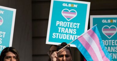 HSS Issues Report on 'Affirming' Trans Youth for 'Trans Visibility Day'
