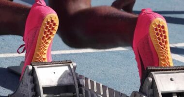 High school and collegiate athletes compete in the 2023 Pepsi Florida Relays