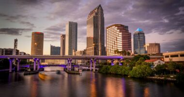 Highest-rated things to do in Tampa by Tripadvisor