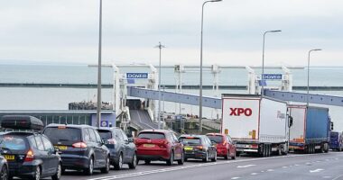 Port of Dover declared a critical incident as delays arose for passengers