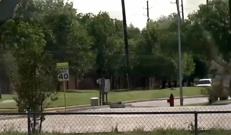 Houston Suburb Decides the Best Way to Fight Crime Is… Planting Trees