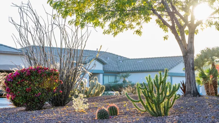How to break up with your lawn and boost your home’s resale value