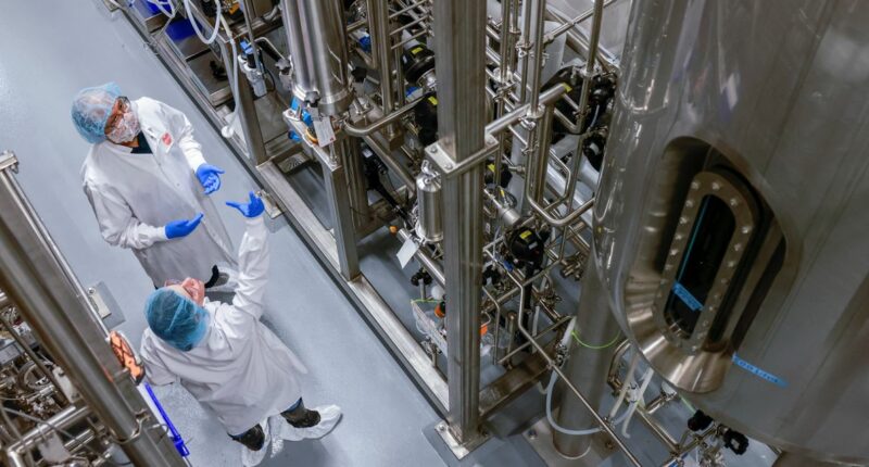 Inside the Struggle to Make Lab-Grown Meat