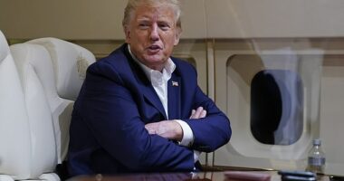 Trump, 76, has lashed out several times on Truth Social following the announcement on Thursday that he would face charges over alleged hush money payments to porn star Stormy Daniels