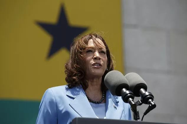 Kamala Harris welcomed home in Zambia after promising billions of dollars of US investment