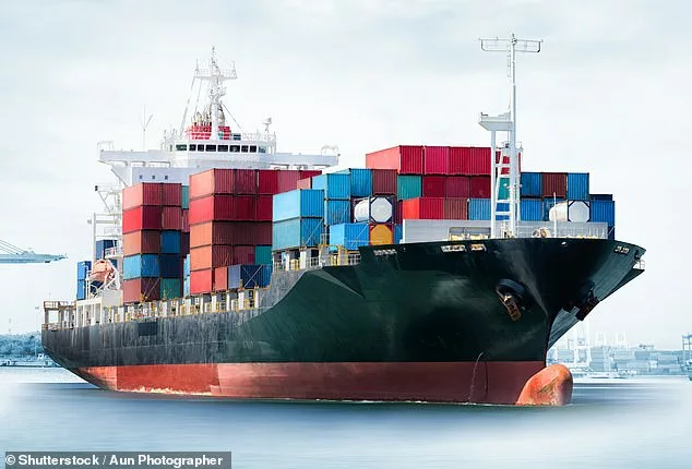 MIDAS SHARE TIPS UPDATE: Shipping giant is riding the waves