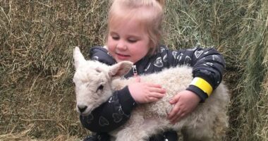 Meet adorable newborn lambs at these 5 amazing Yorkshire farm fun days