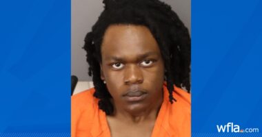 Mugshot of Taylen Mosley's father released