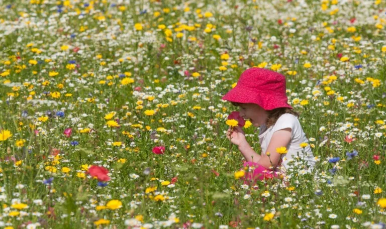 One in five hay fever sufferers feel those without allergy are unsympathetic to symptoms