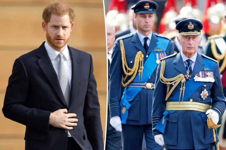 Prince Harry ‘will not see’ Charles, William at coronation: expert