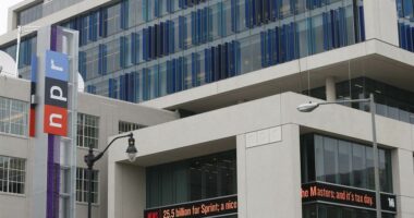 Report: Woke Struggle Sessions Underway at NPR as the Cookie Crumbles