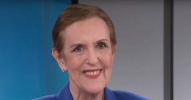 Russia Detained WSJ Reporter Because Putin Thinks Griner Swap 'Really Worked out in Their Favor'