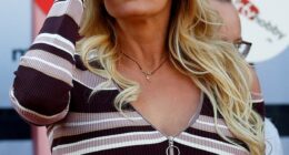 If Stormy Daniels (pictured) ends up being the person who finally brings Donald Trump to book , all credit to her. She'll have done the world a favour.
