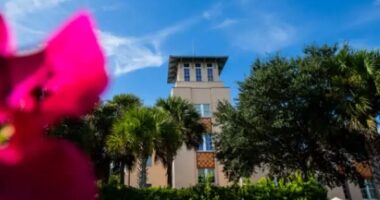 New College Of Florida