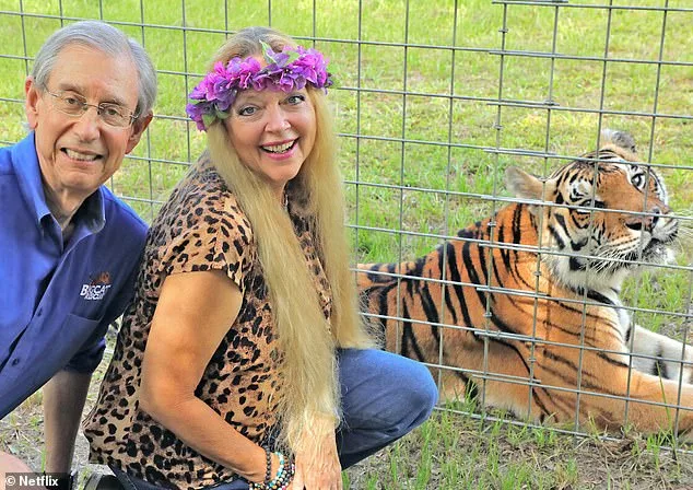 Tiger King star Carole Baskin is CLOSING her Big Cat Sanctuary
