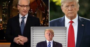 Trump's mugshot will make MSNBC masturbate, Bill Maher jokes