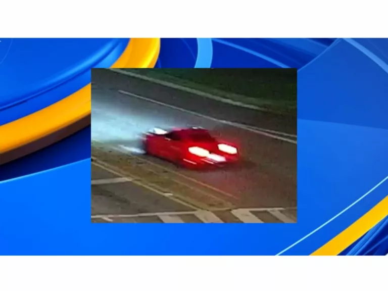 Tuscaloosa police searching for hit-and-run suspect