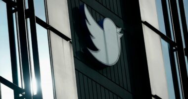 Twitter Shares Some of the Secret Sauce Behind How It Works