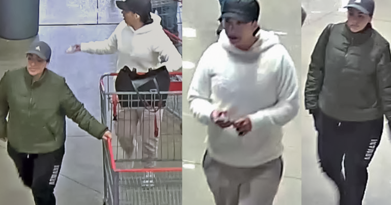 Video shows wallet thieves target Arvada Costco shoppers