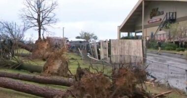 Violent storms forecast for Midwest and South