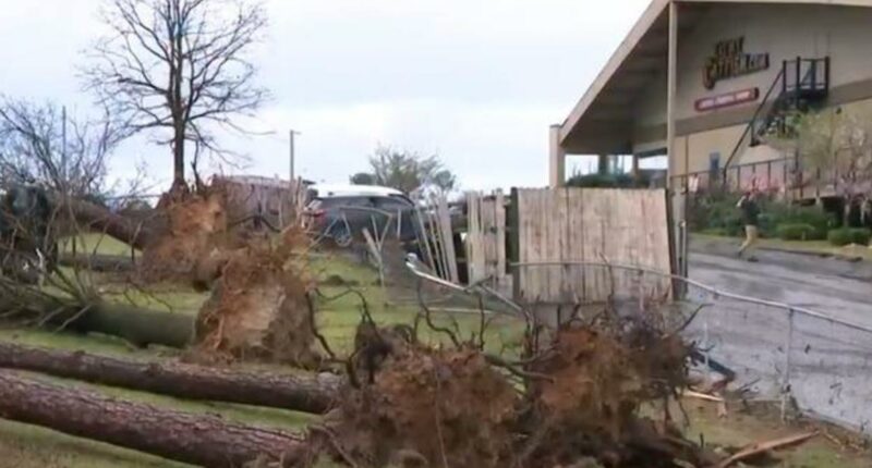 Violent storms forecast for Midwest and South