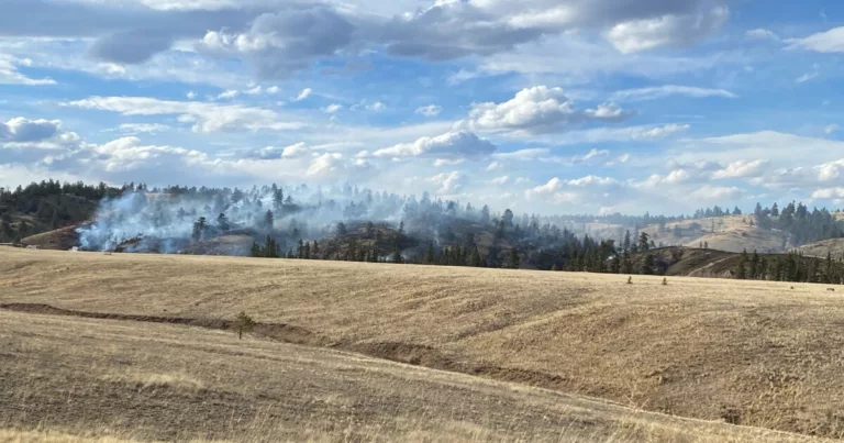 Wildfire in Park County likely caused by homeowner’s ‘careless actions’