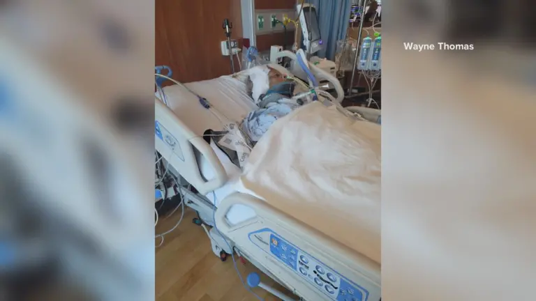 86 year-old woman's leg amputated after dog attack in Putnam County