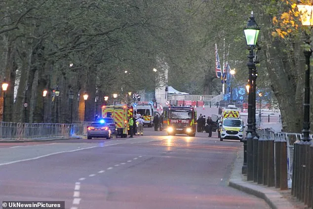Buckingham Palace on lockdown after man arrested for throwing suspected shotgun cartridges on the…